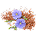 Extrait de lin (Linum usitatissimum)