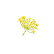 Poudre de fenouil (Foeniculum vulgare Mill. var. dulce)