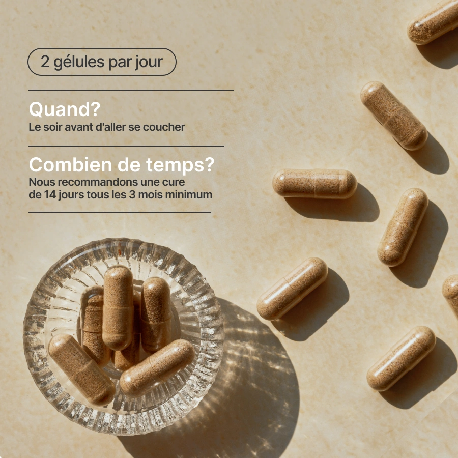 COLON DETOX - 14 Jours