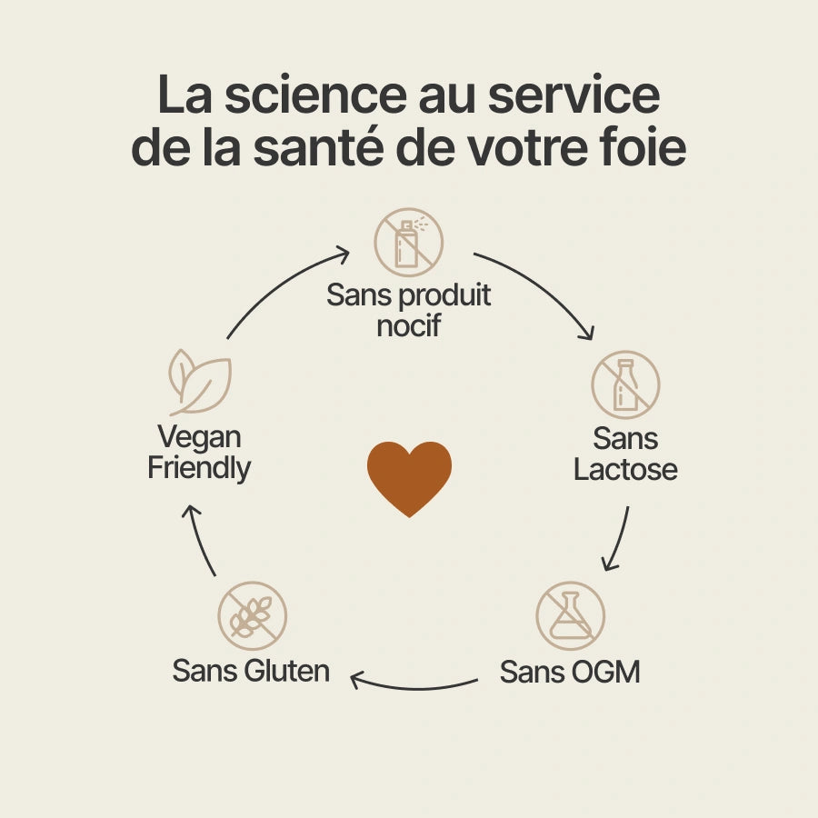 Detox Foie - 14 jours