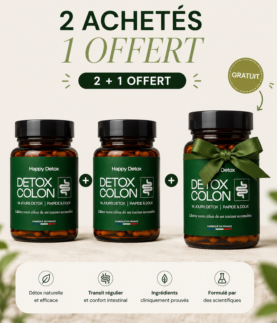 COLON DETOX - 14 Jours